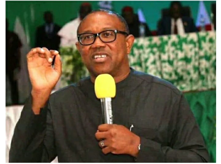 Peter Obi Net Worth, Biography, Cars And Houses, Source of wealth
